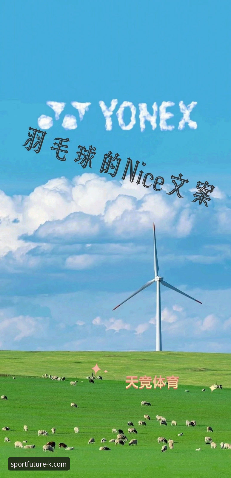 揭秘K体育靠谱吗？从竞技数据到用户口碑，这背后你不知道的事